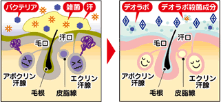 ニオイの発生源